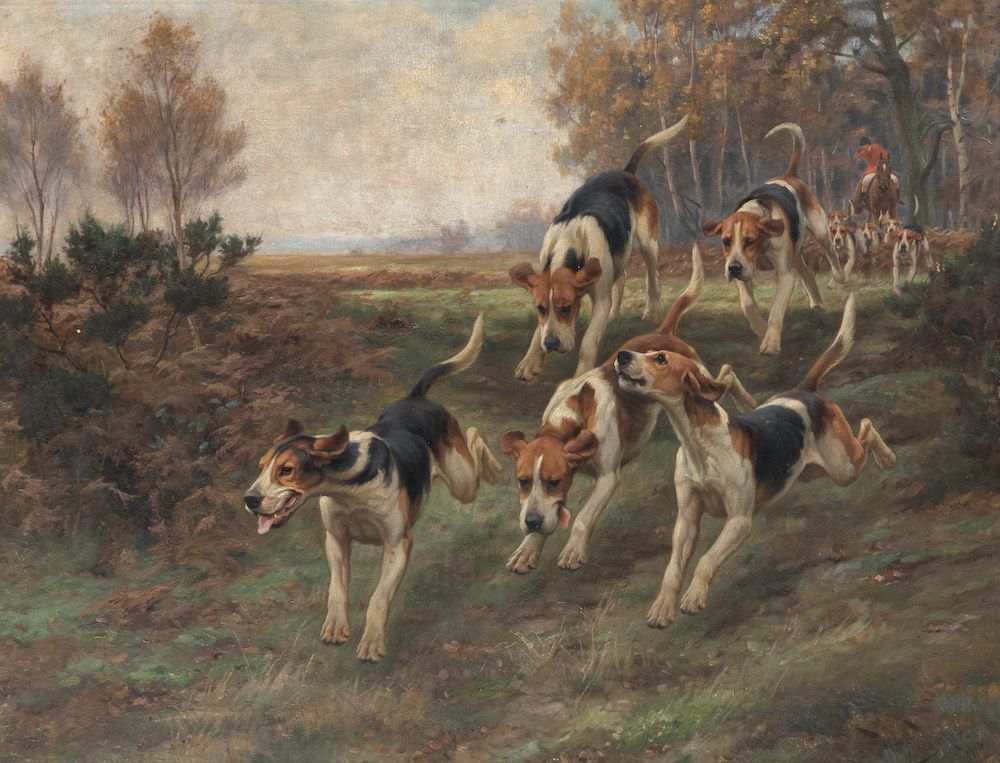 Every Picture Tells a Story